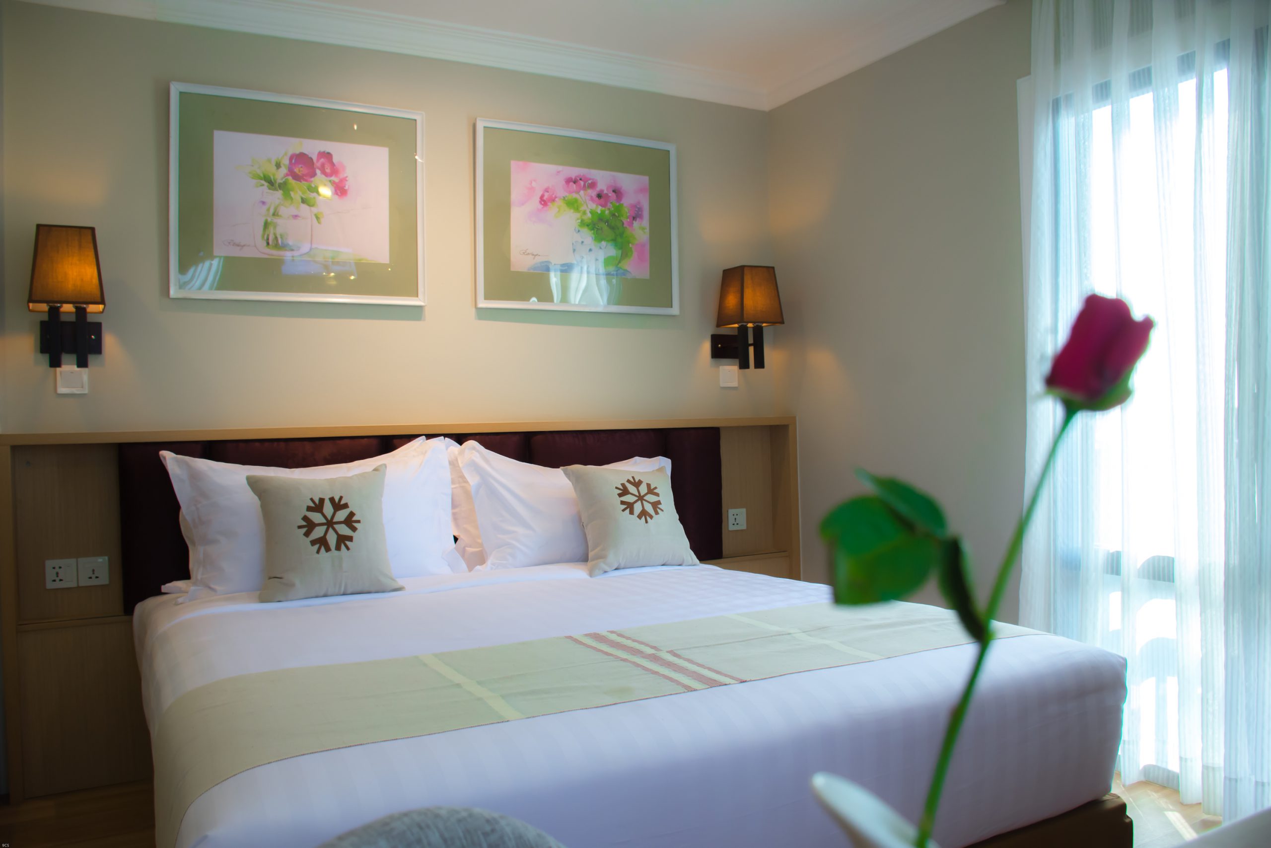Rooms & Suites